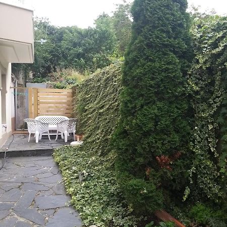 Apartamento Con Pequeno Jardin En El Centro Ferrol Eksteriør bilde